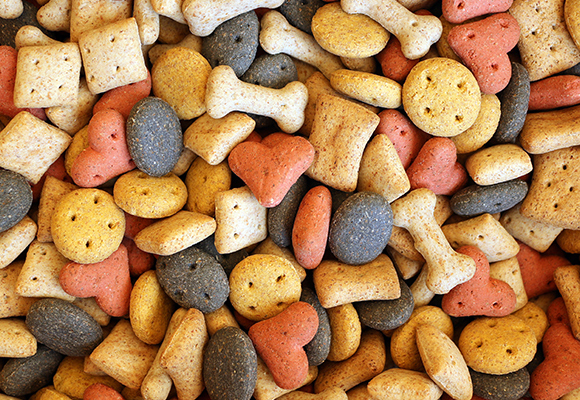 Biscotti per cani Romeo