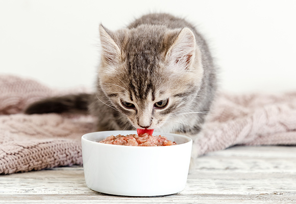 Bocconcini in lattina per gatti Cachet