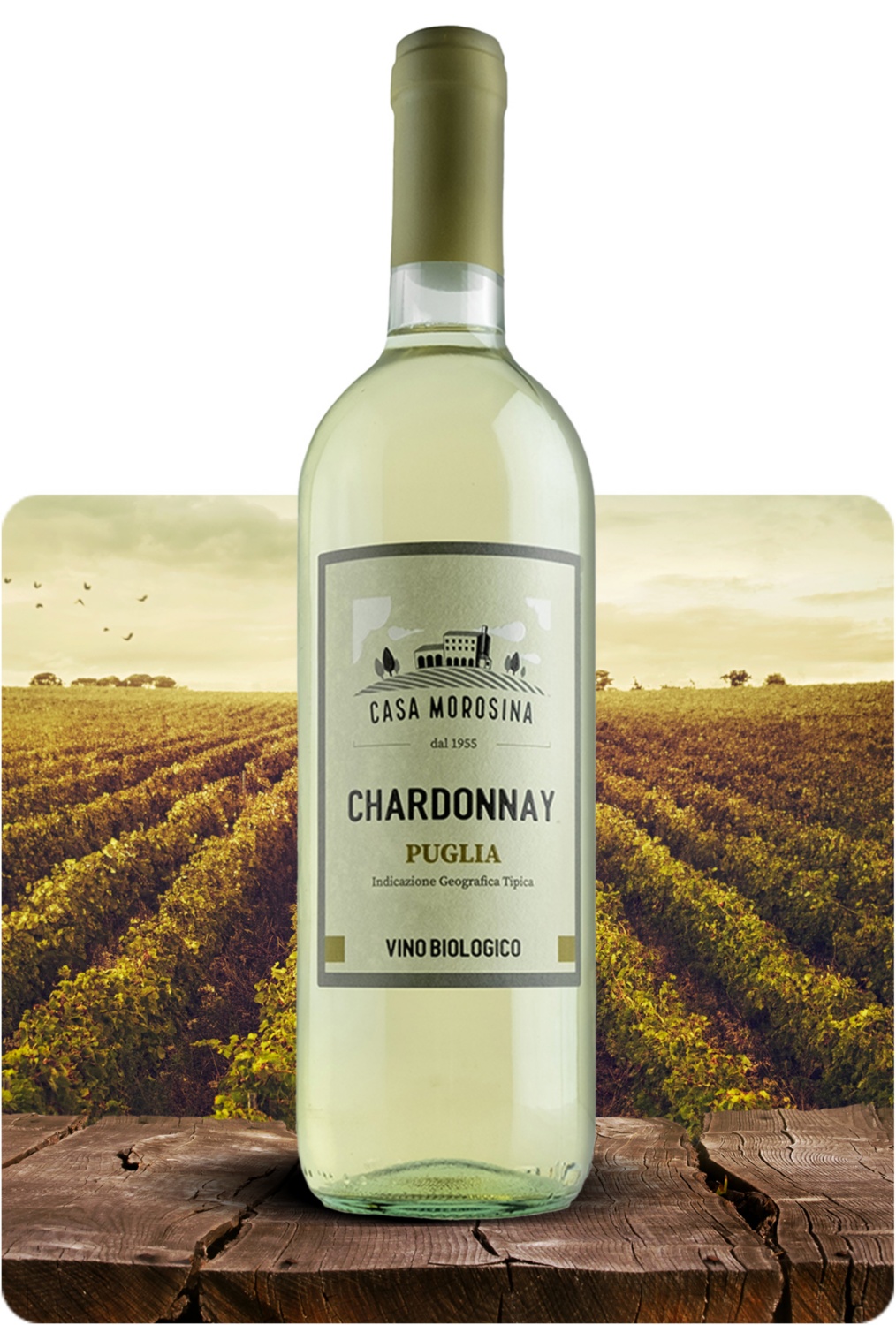 Chardonnay Puglia BIO