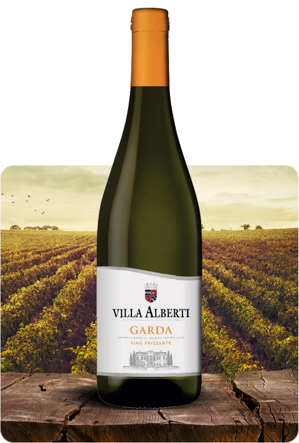 Garda DOC Vino Frizzante
