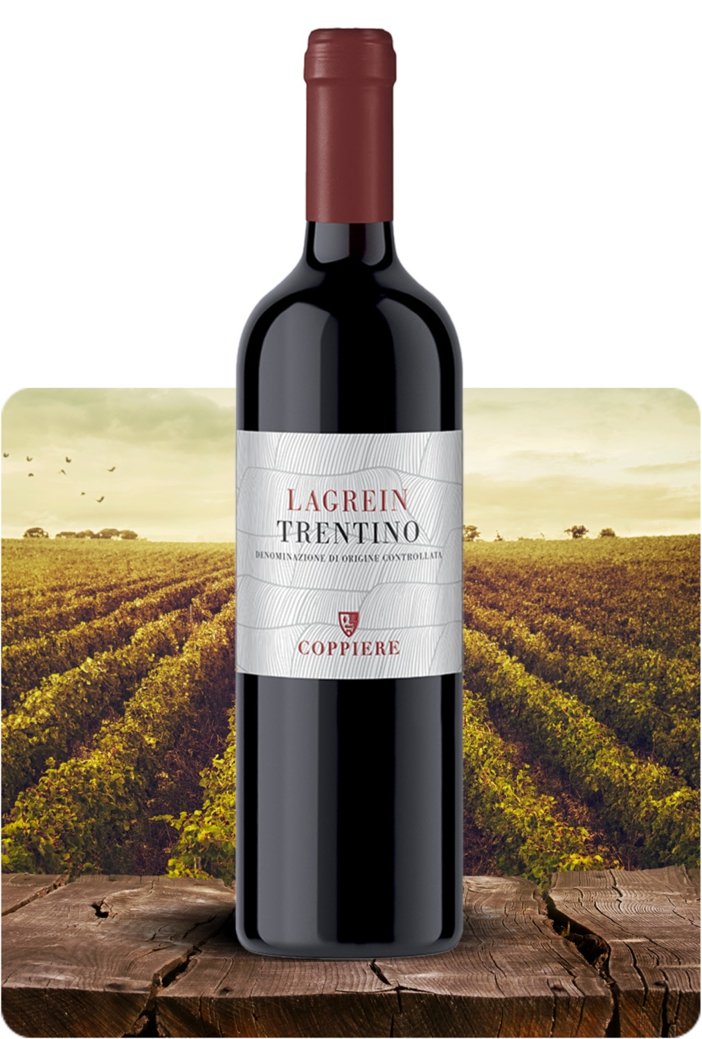 Lagrein Trentino DOC