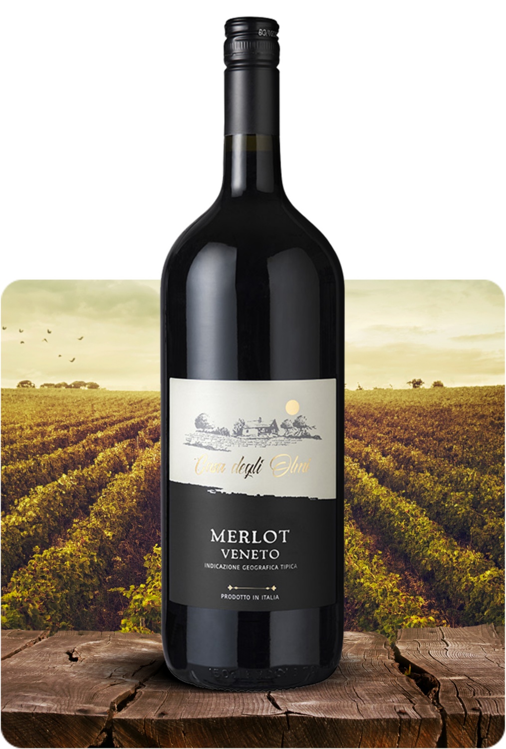 Merlot IGT Veneto