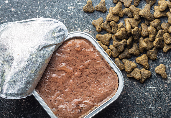 Paté per cani in vaschetta Romeo