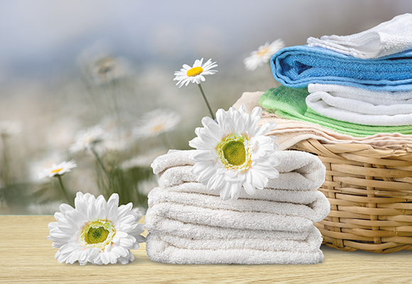 Profumo per bucato e pavimenti Tandil