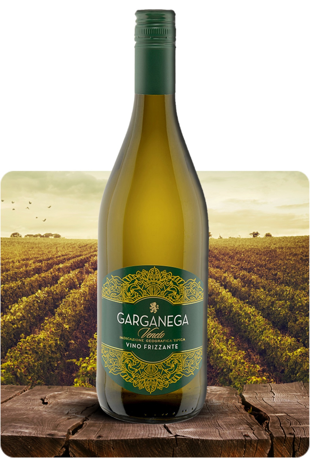 Garganega IGT Frizzante