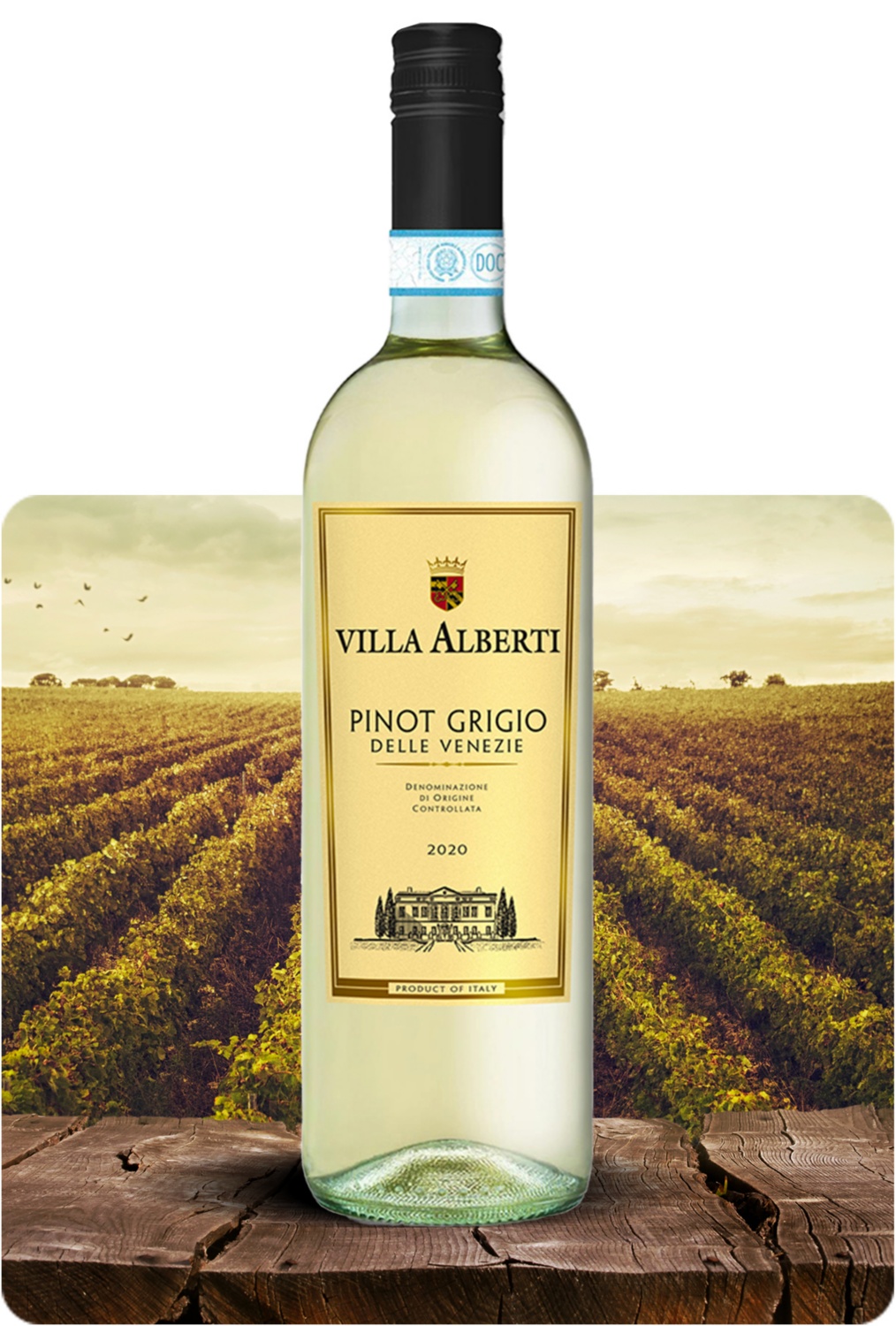 Pinot Grigio delle Venezie DOC