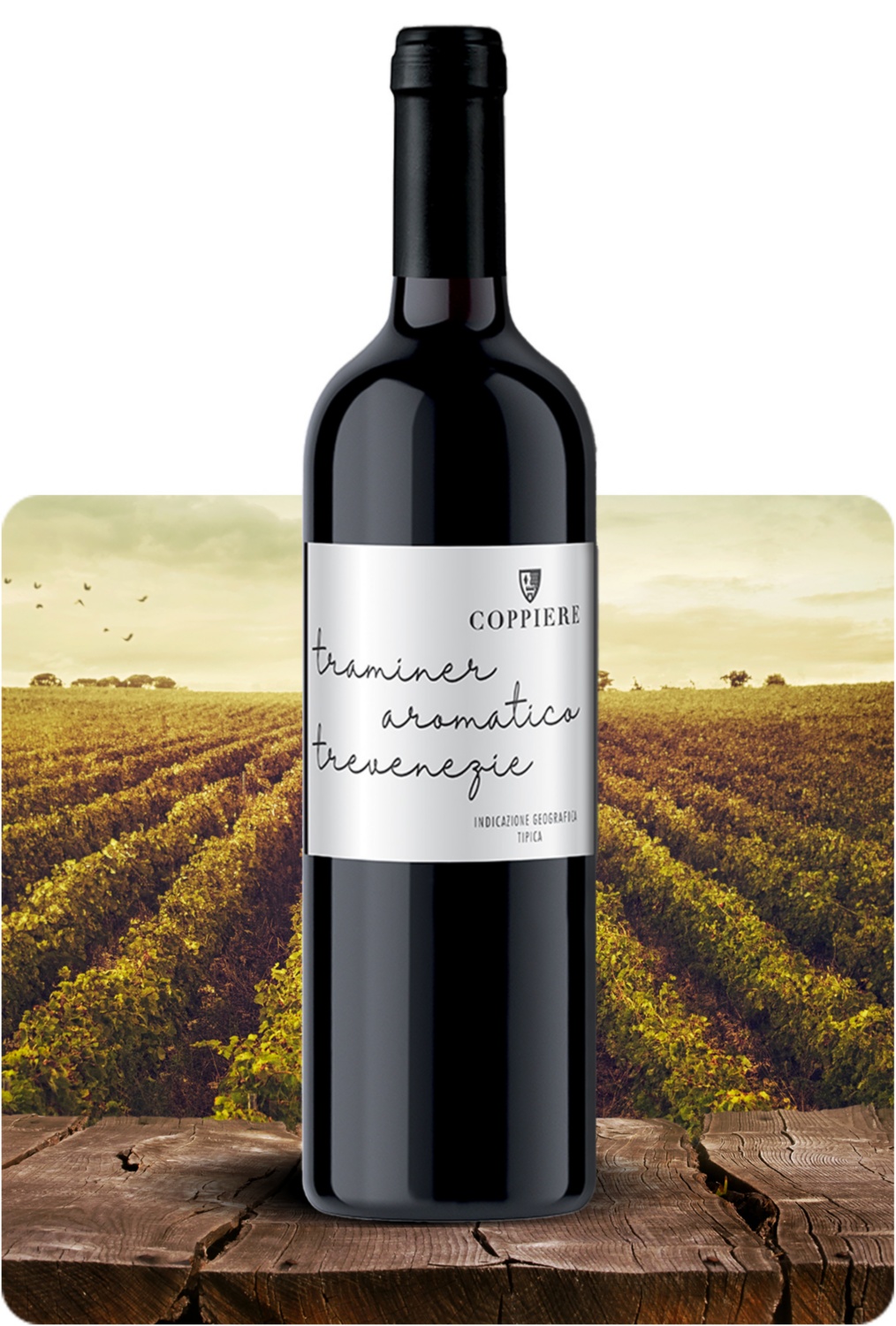 Traminer Aromatico Trevenezie IGT