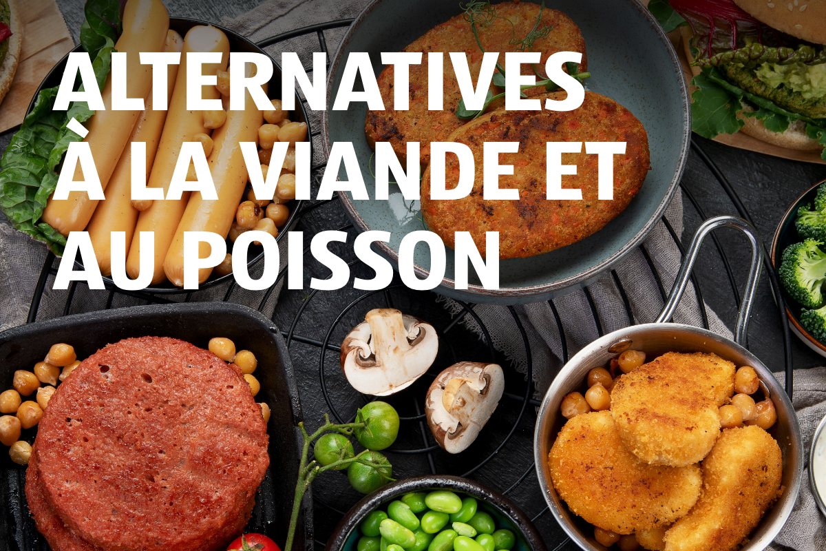 Alternativen Fleisch & Fisch FR