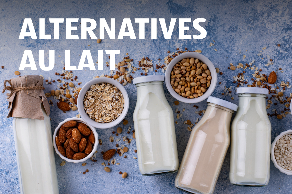 Milchersatzprodukte FR