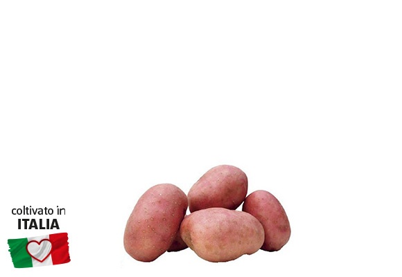 Patate rosse 1,5 kg