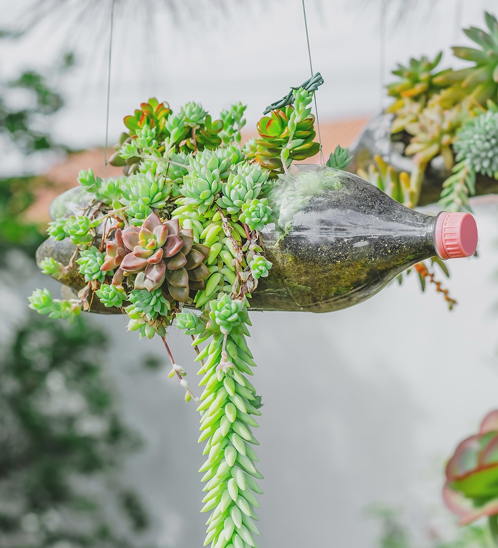 Differenza tra riuso e riciclo