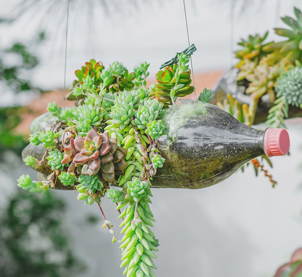 Differenza tra riuso e riciclo