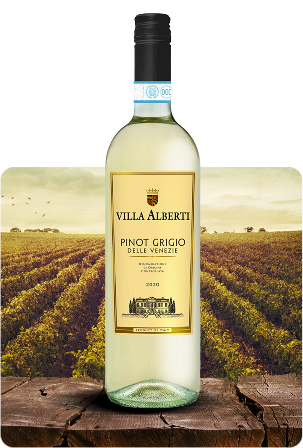 Pinot Grigio delle Venezie DOC 