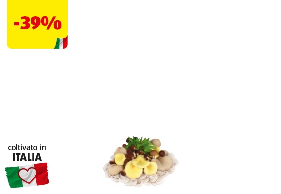 I COLORI DEL SAPORE Poker di funghi tagliati 300 g