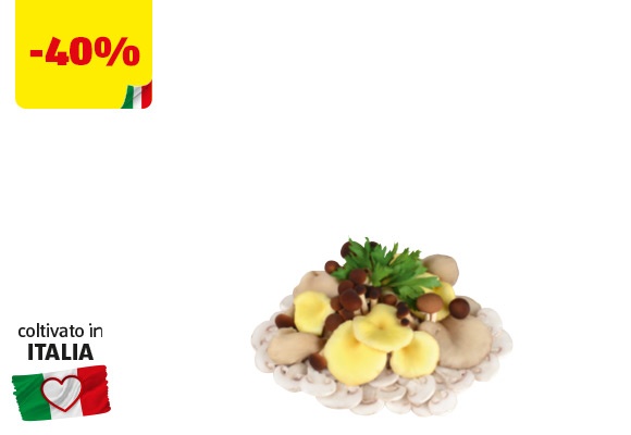 I COLORI DEL SAPORE Poker di funghi tagliati 300 g