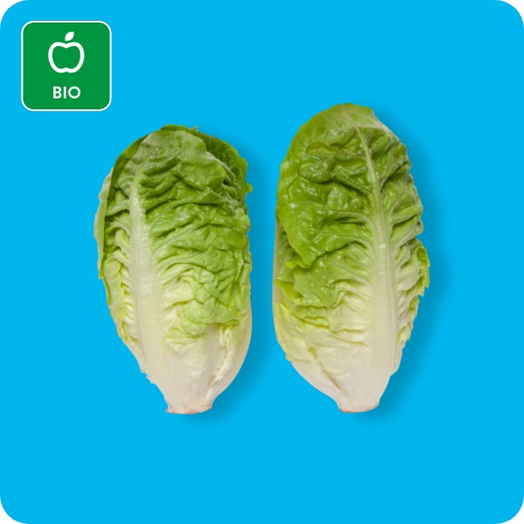Bio Salatherzen Mini Romana