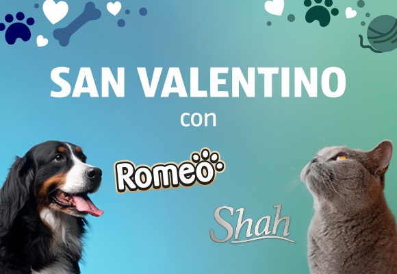 San Valentino con Romeo e Shah
