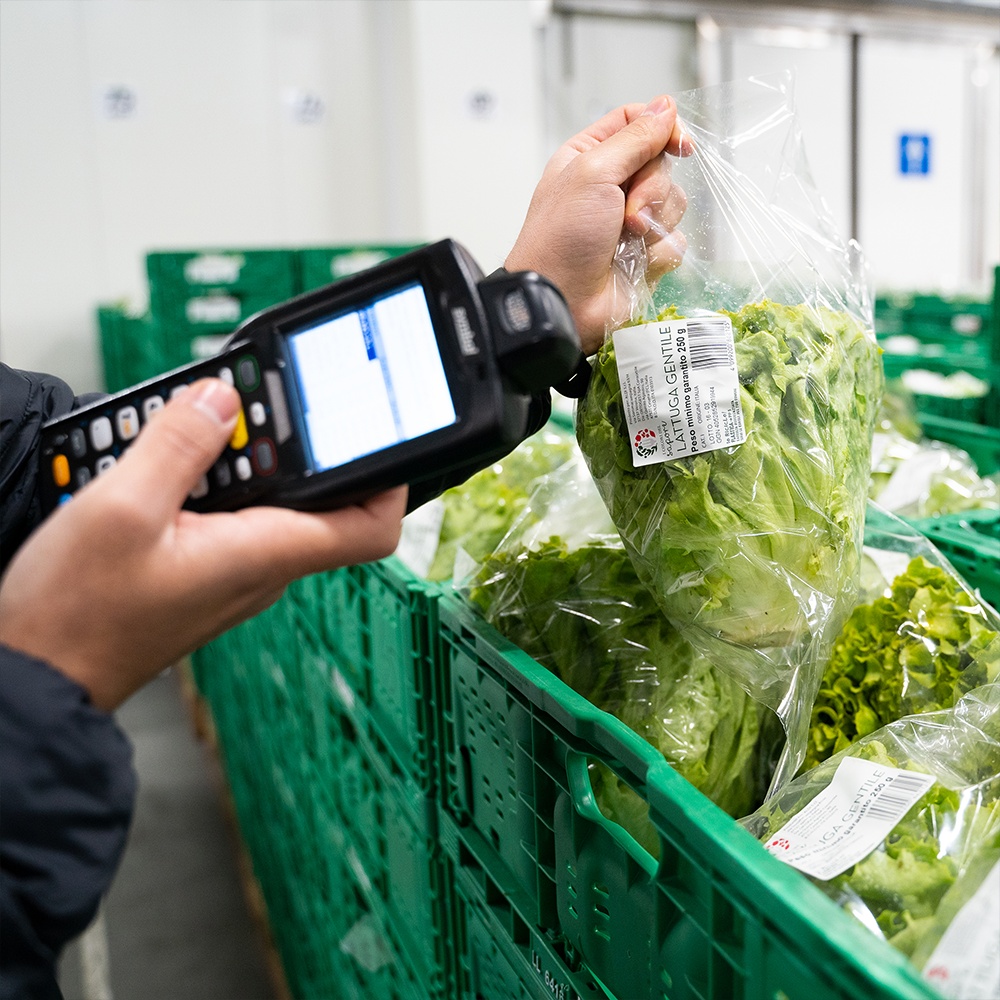Sicurezza al Prezzo ALDI