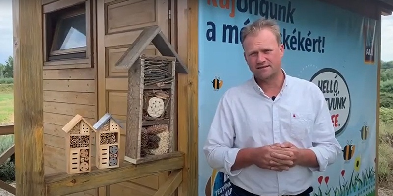 A projektről bővebben