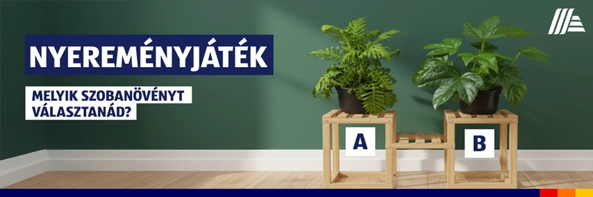 SZOBANÖVÉNY nyereményjáték