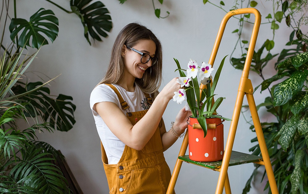 Tutela del clima in giardino e in terrazzo