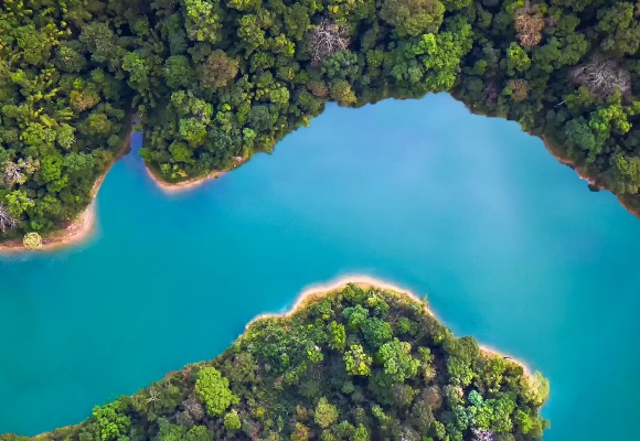 Klimaschutz & Umwelt