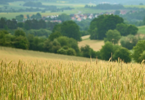 Naturlandhof Schineller