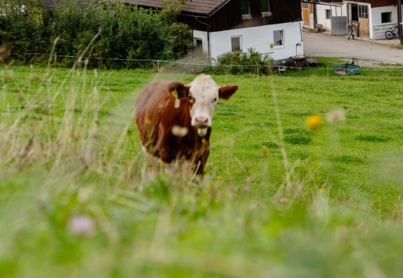Familie Niedermüller
