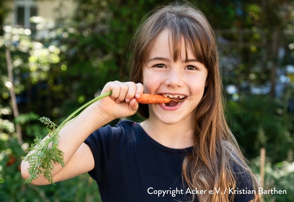 GemüseAckerdemie