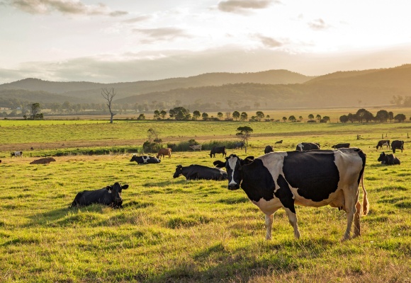 Tierwohl Haltungsformen