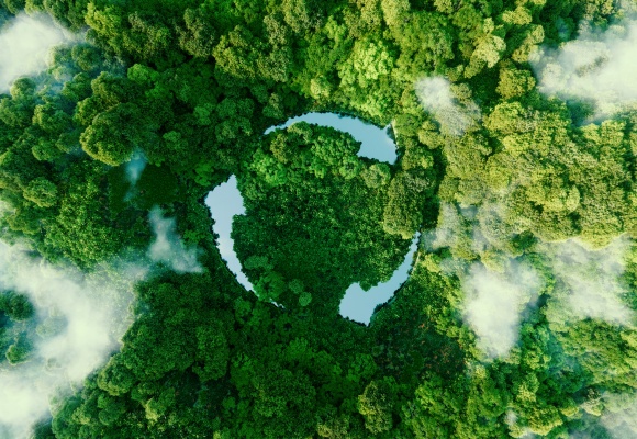 Umweltfreundliche Verpackungen