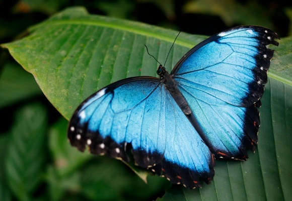 Hessen, Saarland & Rheinland-Pfalz