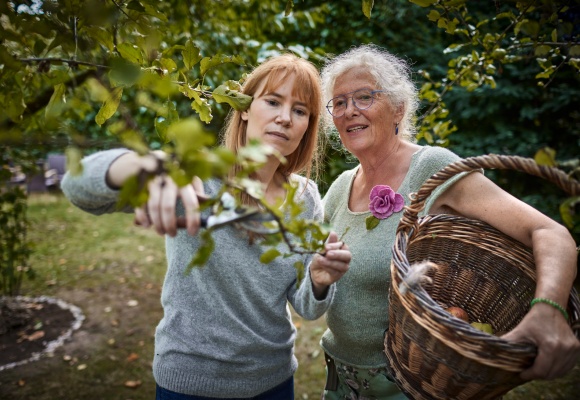 Obstbaumpflege im Herbst