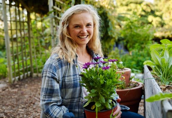 Pflegeleichte Gartenpflanzen
