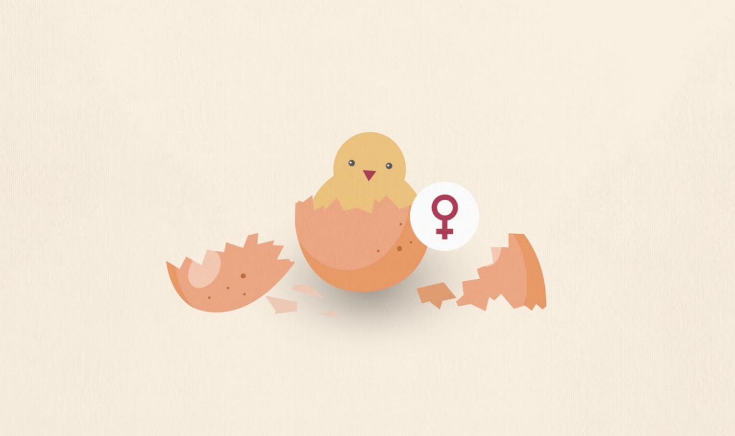 Ein Küken schlüpft gerade aus seinem Ei.