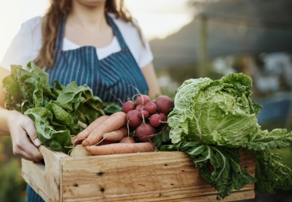 Bewusst wie: Fragen und Antworten