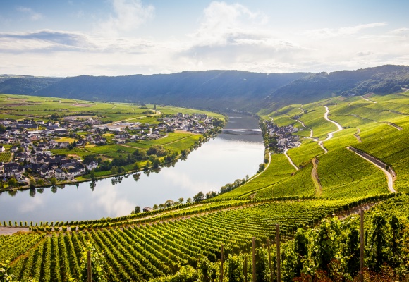 Mosel