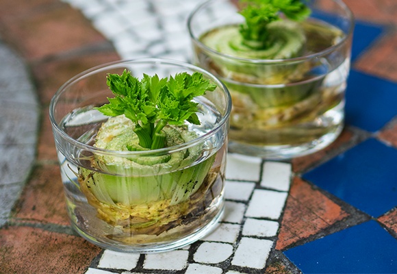 Gemüsereste verwerten – Tipps gegen Abfall