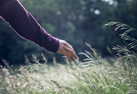 Nachhaltigkeitsdreieck