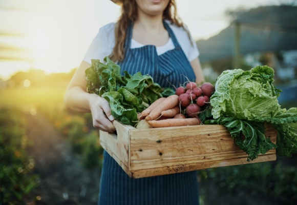 Bewusst wie: Fragen und Antworten