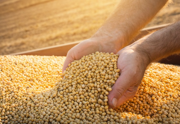 Kennzahlen Lieferkette