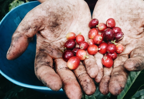 Klimaneutrale Produkte