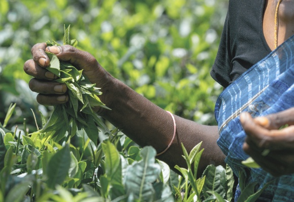 Produktionsstandards