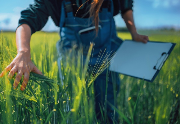 Qualität aus Deutschland