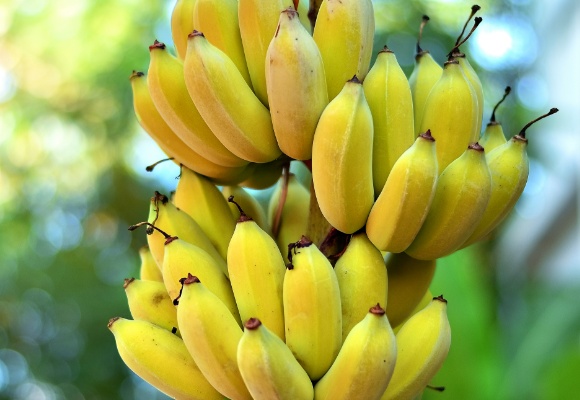 Banane