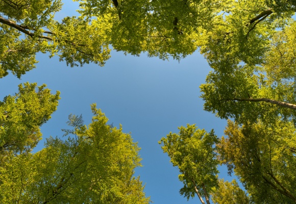 Klimaschutz: Wir fördern Entwicklung und Umwelt