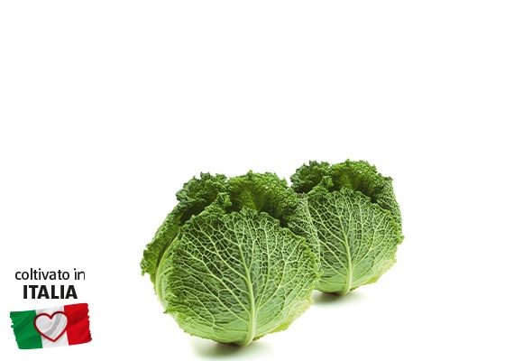 I COLORI DEL SAPORE Verze