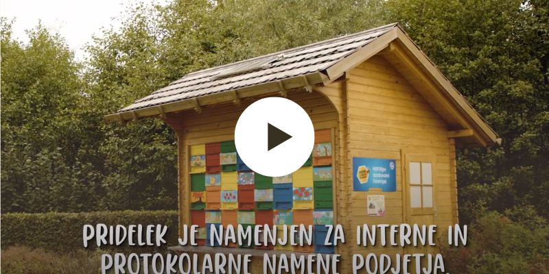 video o projektu Skrbimo za medeno prihodnost