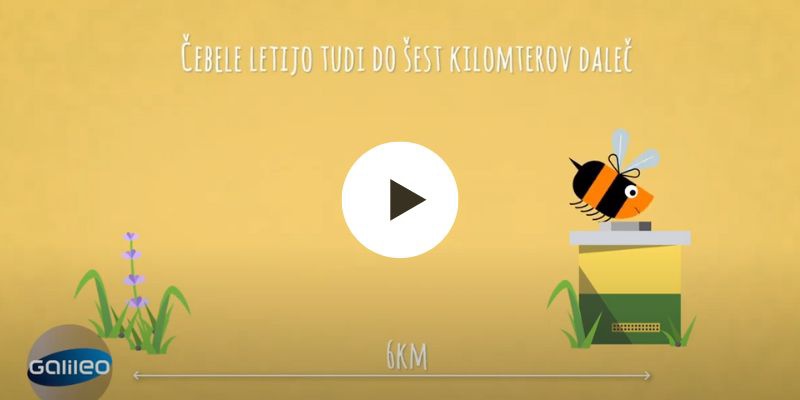 Izsek iz poučne oddaje Galileo