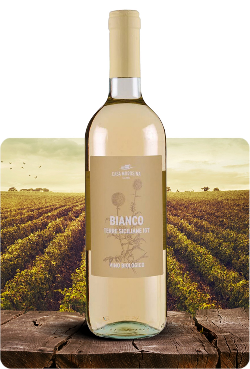 BIO Bianco Terre Siciliane IGT